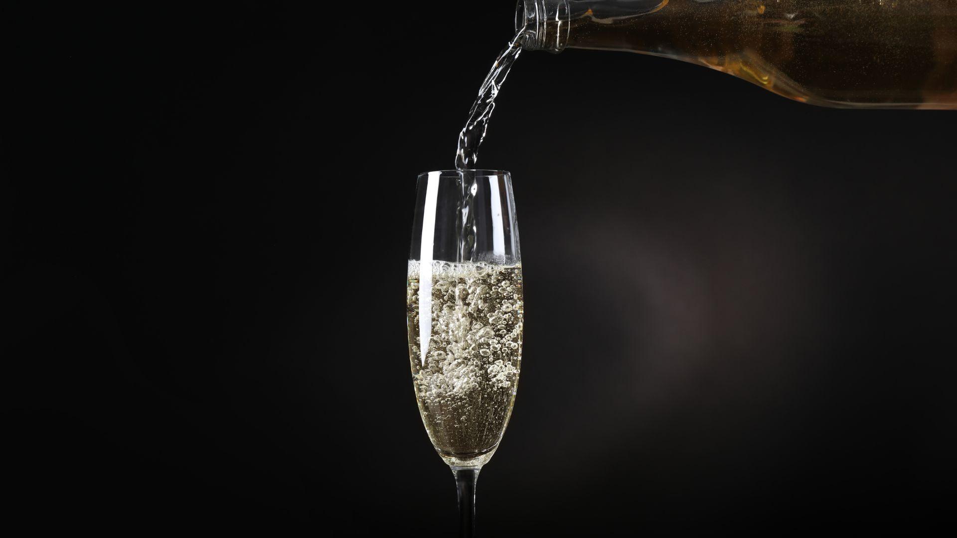 Schloss Gobelsburg Brut Reserve